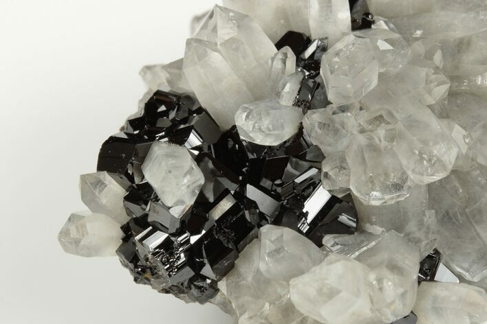 Gemmy Cassiterite On Quartz Crystals - Viloco Mine, Bolivia #192164